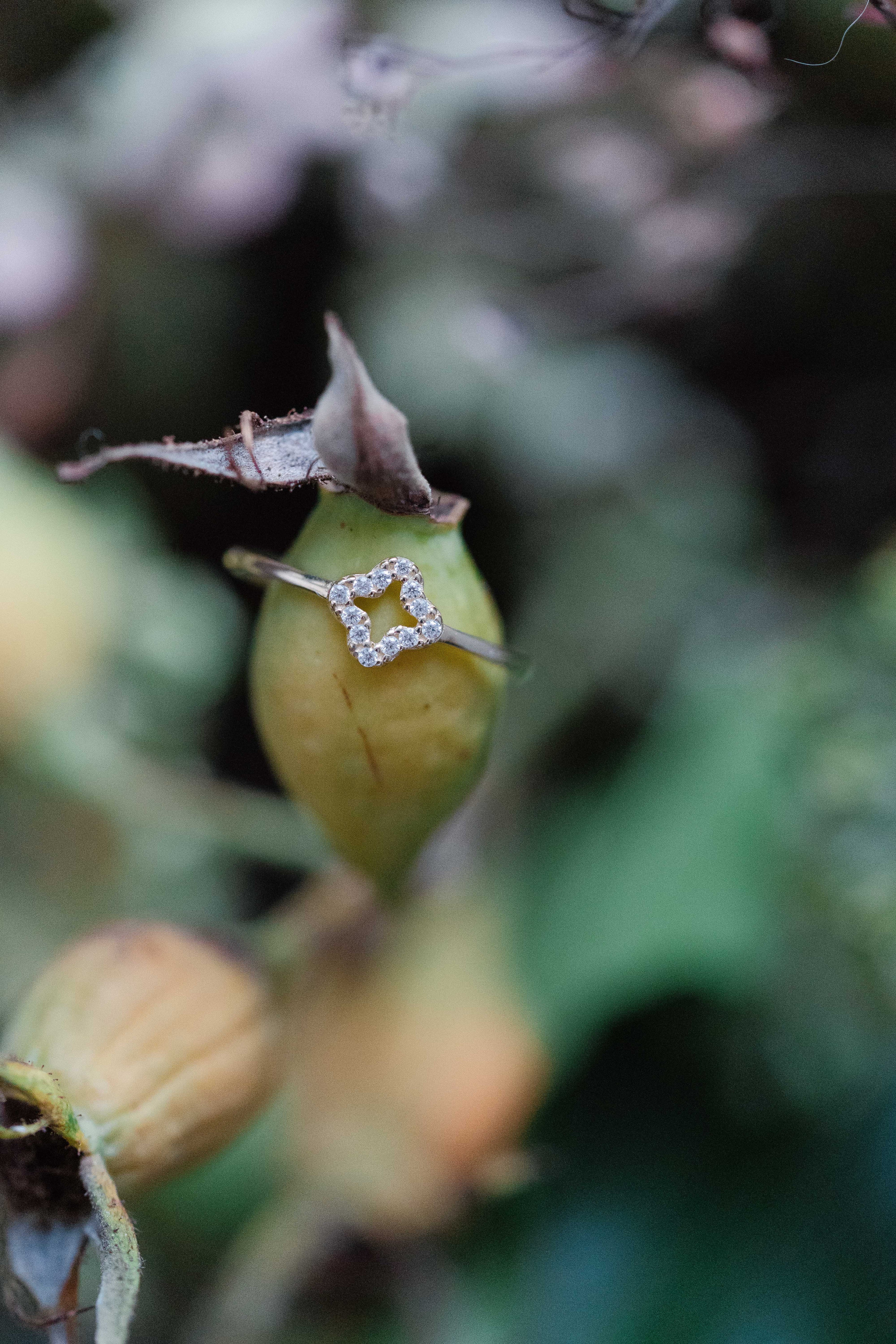 Herbst Winter 25 Hommforyou 264