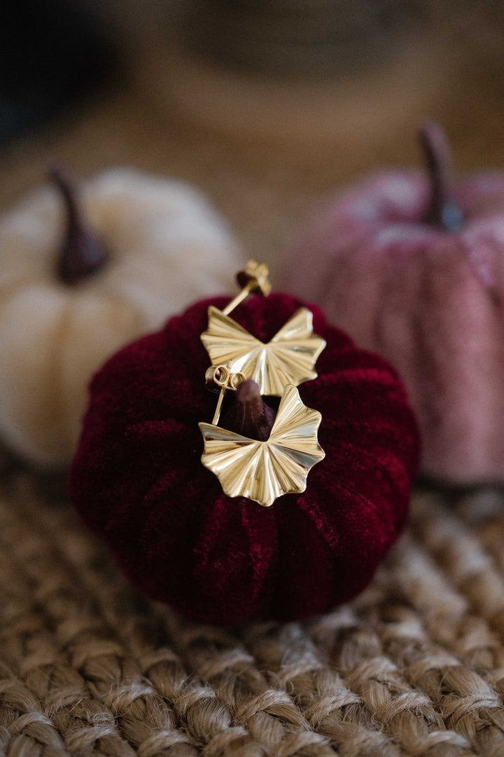 Ohrringe Linea - Hommforyou by Juwelier Homm