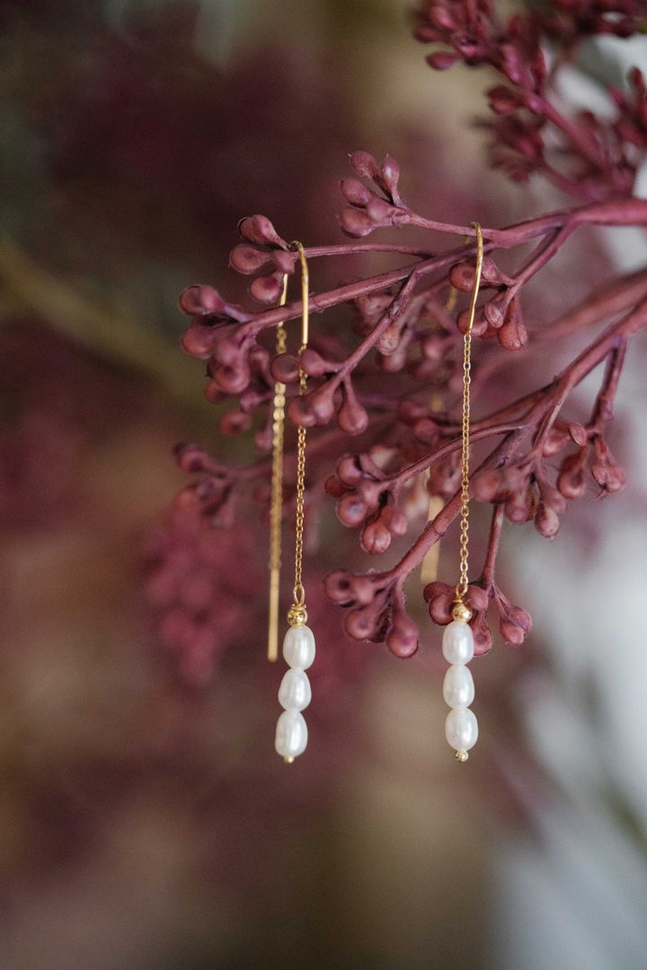 Ohrringe Pearl Essence - Hommforyou by Juwelier Homm