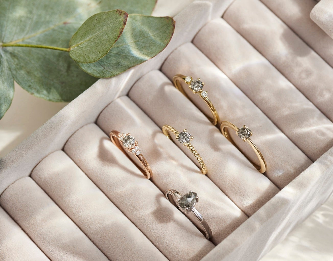 Ringe mit Salz Pfeffer Diamanten